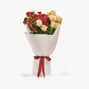 Featured Collections