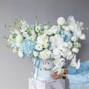 it's A Boy