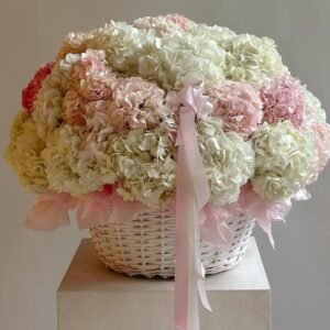 51 Pink and white Hydrangea Basket