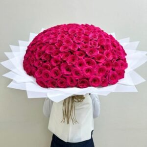 151 Radiant Affection Highlights