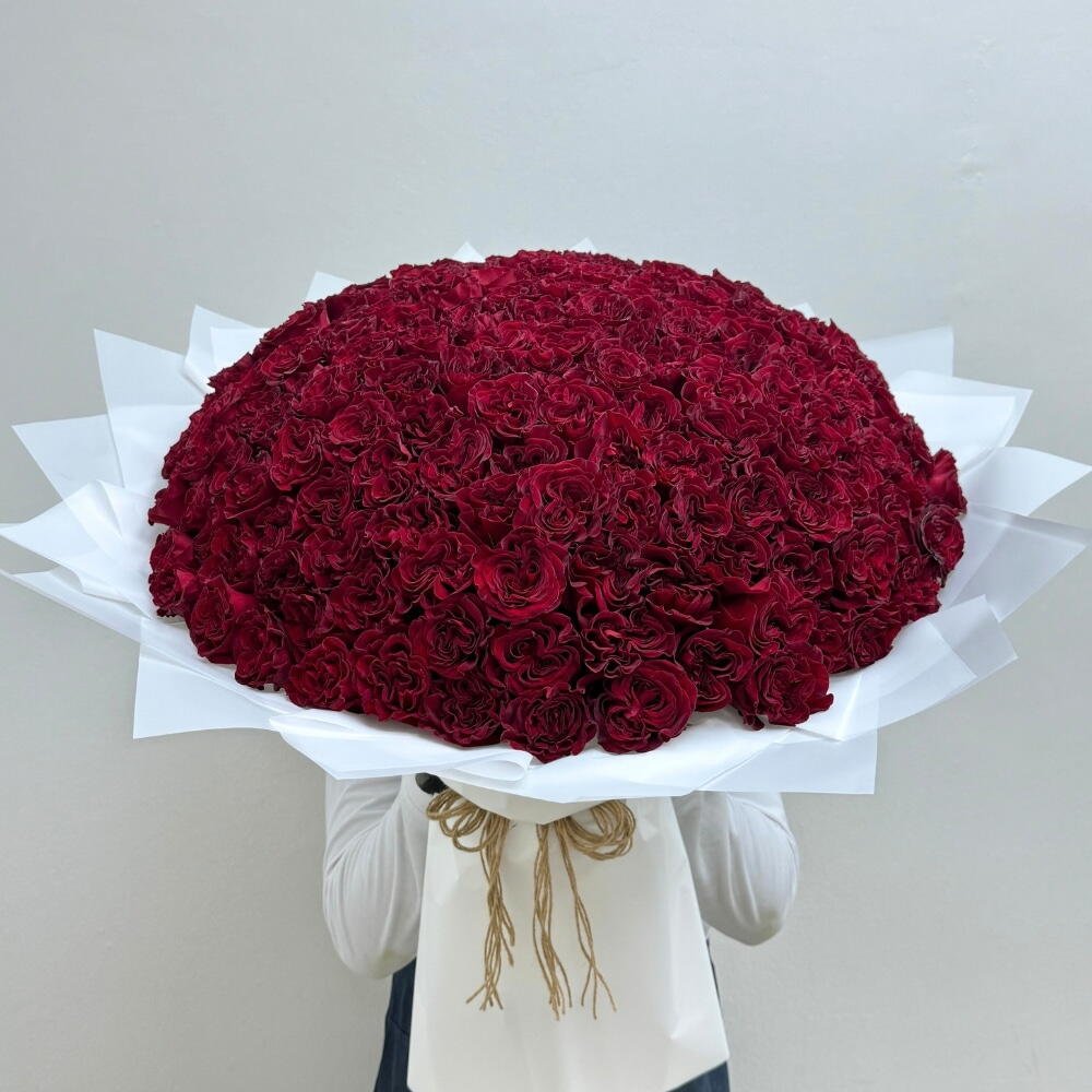 151The Ultimate Declaration _ Luxury Bold Red Garden Roses Bouquet
