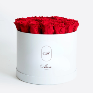 Red Roses in White Box