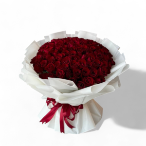 Nova Beauty _ 101 Red Rose Bouquet